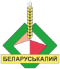 ОАО «Беларуськалий», г. Солигорск, Беларусь